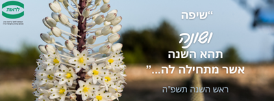 ניוזלטר ספטמבר 2024 – עמותת לראות