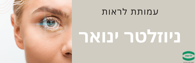 ניוזלטר ינואר 2025 - עמותת לראות